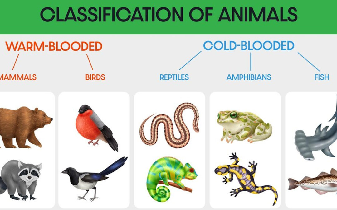 B.Sc. Zoology